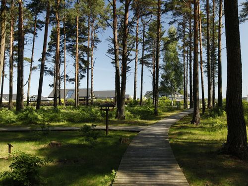 Проект салиена - новое лицо латвийской недвижимости